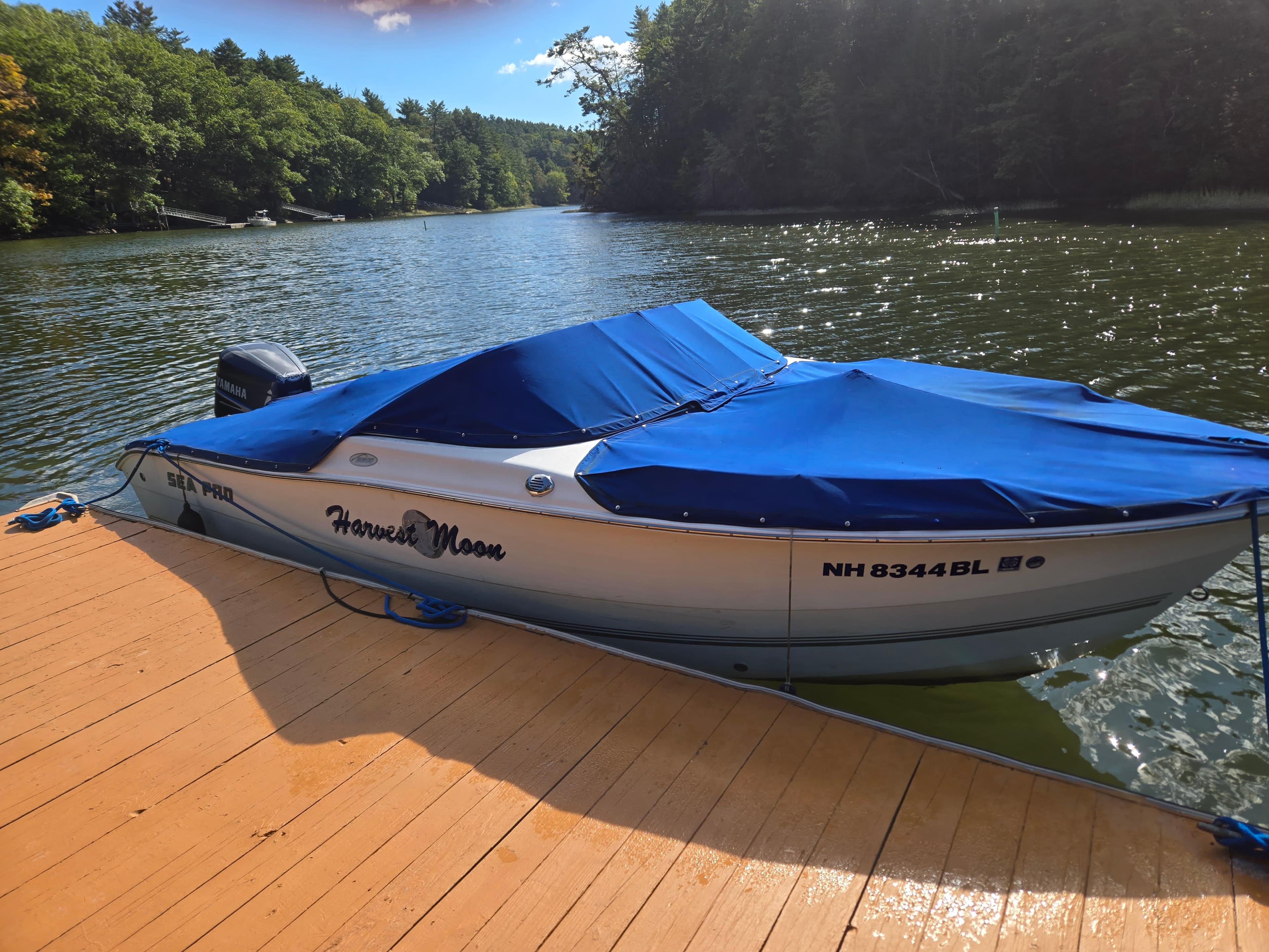 2005 sea pro 206dc