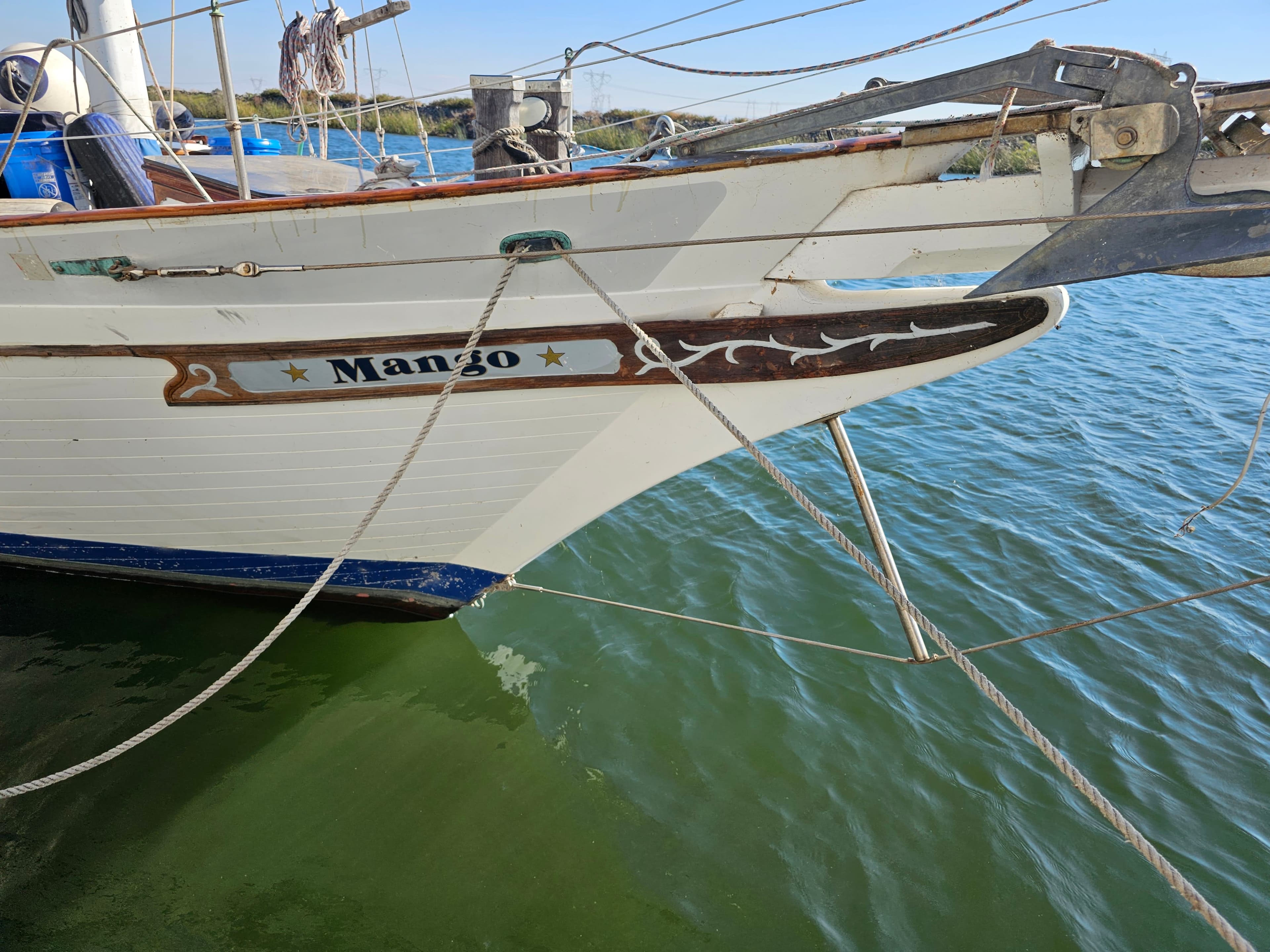 1971 Ta Chiao 41