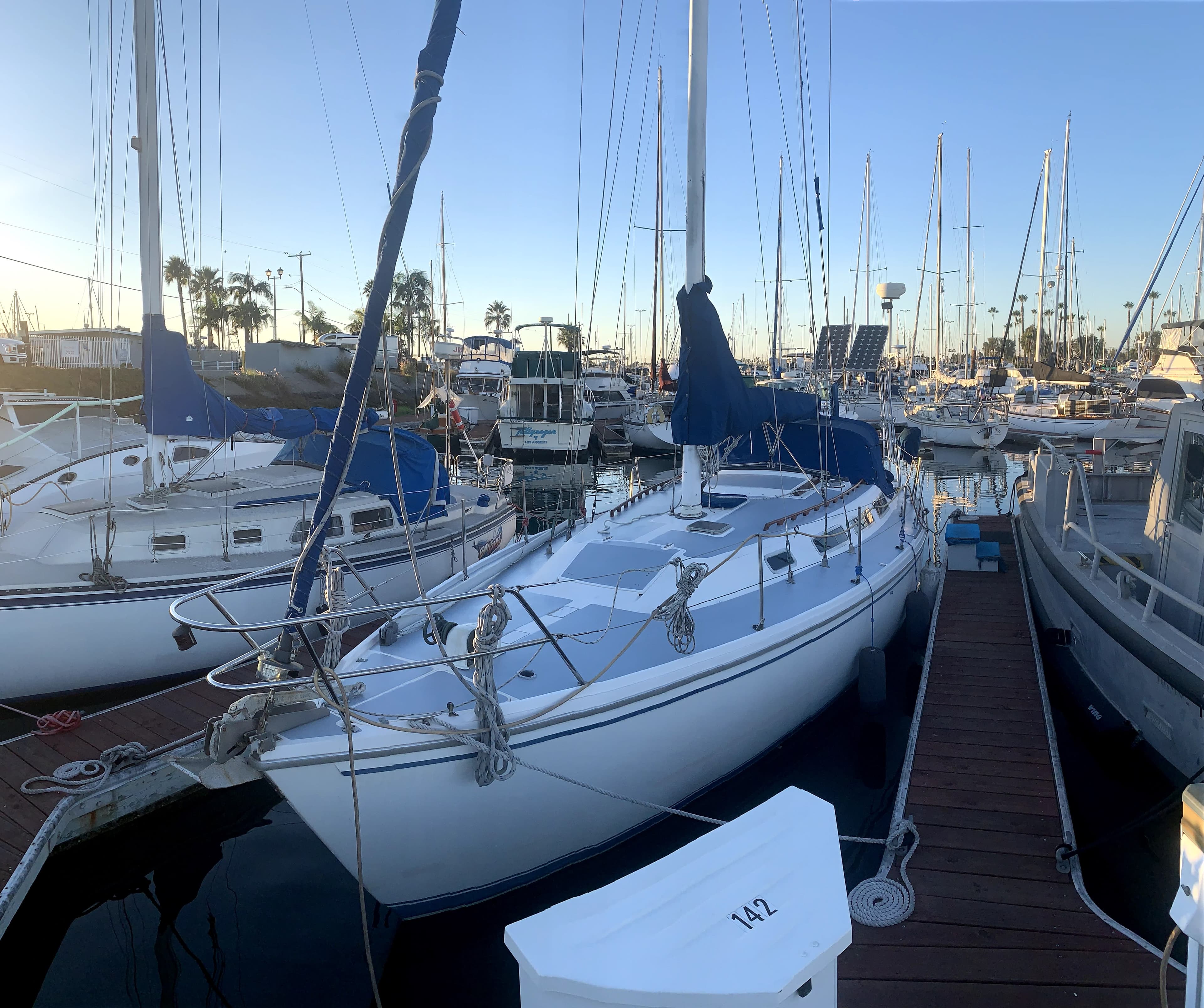 1983 Catalina 36"